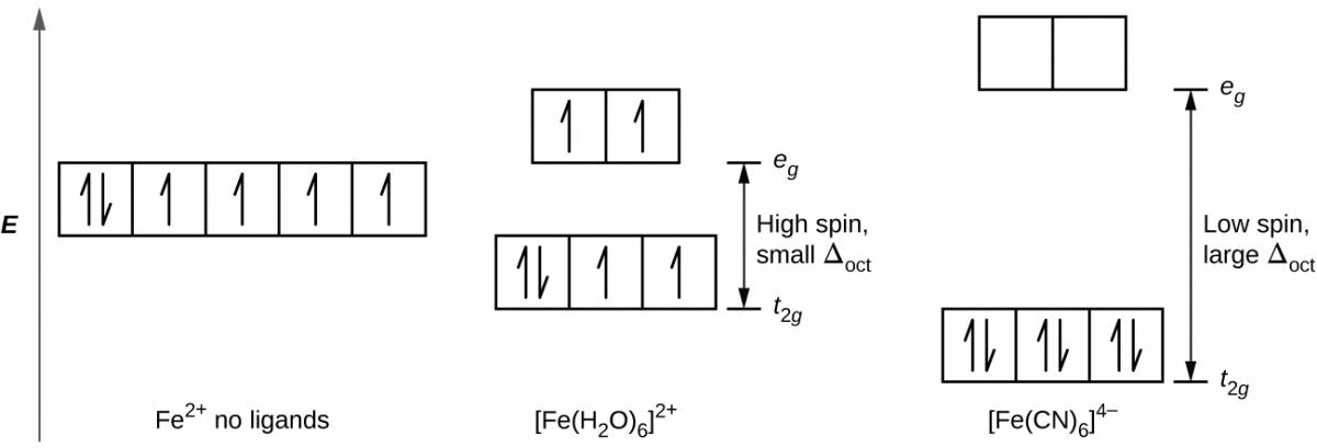 A diagram is shown with a vertical arrow pointing upward along the height of the diagram at its left side. This arrow is labeled, “E.” to the right of this arrow are several rows of squares outlined in yellow. The first row has three linked squares at the lower right side of the diagram labeled, “[ F e ( C N ) subscript 6 ] superscript 4 negative sign.” Each square contains two half arrows, with the left half arrow pointing up and the right half arrow pointing down. A second row is positioned just above and to the left of the first, with the bottom of the squares at a height equal with the top of the squares in the first row. This group is also composed of 3 linked squares. The square to the left contains two half arrows, with the left half arrow pointing up and the right half arrow pointing down. The remaining two squares in this row only have upward pointing half arrows. At the bottom of the figure, just below this group is the label “[ F e ( H subscript 2 O ) subscript 6] superscript 2 plus sign.” To the left of this row, a third row that includes 5 linked squares is positioned with the lower edge of the squares at a height equal to the tops of the squares in row two. The square to the left contains two half arrows, one up and one down. All other squares in this group contain single upward pointing arrows. At the bottom of the figure beneath this row appears the label, “F e superscript 2 plus sign no ligands.” A fourth row composed of 2 linked squares appears to the right and above the second row. The lower edge of the squares is at a height level with the top of the squares of the third row. Each of these squares contains a single upward pointing half arrow. A fifth row of 2 squares is positioned above and to the right directly above the first row with the base of the squares positioned at a level equal to the top of the previous row of squares. These squares are empty. At the right of the diagram, a short horizontal line segment is drawn just right of the lower side of the rightmost square of the first row. A double-headed arrow extends from this line segment to a second horizontal line segment directly above the first and right of the lower side of the fifth row of squares. The arrow is labeled, “Low spin, large delta subscript oct,” to the right. The lower horizontal line segment is similarly labeled, “t subscript 2 g,” and the upper line segment is labeled, “e subscript g.” To the right of the second and fourth rows, a short horizontal line segment is drawn just right of the lower side of the rightmost square of the second row. A double-headed arrow extends from this line segment to a second horizontal line segment directly above the first and right of the lower side of the fourth row of squares. The arrow is labeled, “High spin, small capital delta subscript oct,” to the right. The lower horizontal line segment is similarly labeled, “t subscript 2 g,” and the upper line segment is labeled, “e subscript g.”