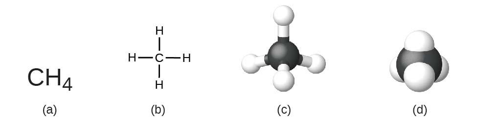 Figure A shows C H subscript 4. Figure B shows a carbon atom that is bonded to four hydrogen atoms at right angles: one above, one to the left, one to the right, and one below. Figure C shows a 3-D, ball-and-stick model of the carbon atom bonded to four hydrogen atoms. Figure D shows a space-filling model of a carbon atom with hydrogen atoms partially embedded into the surface of the carbon atom.