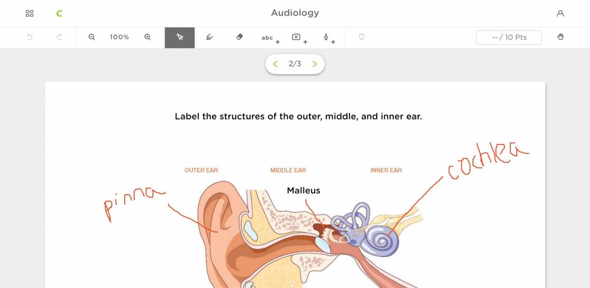 classkick student view of a single slide showing student options for editing slides with student having labeled parts of an ear with a red pen option