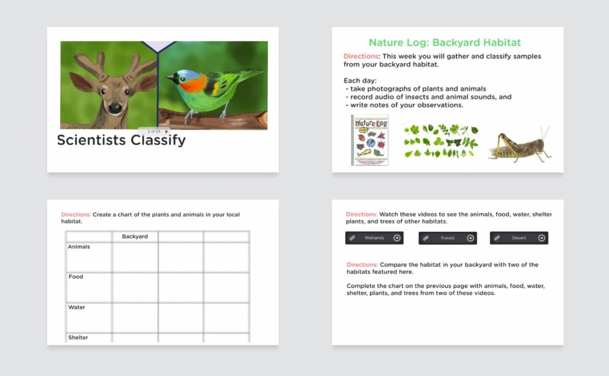 four slides from the scientists classify classkick lesson