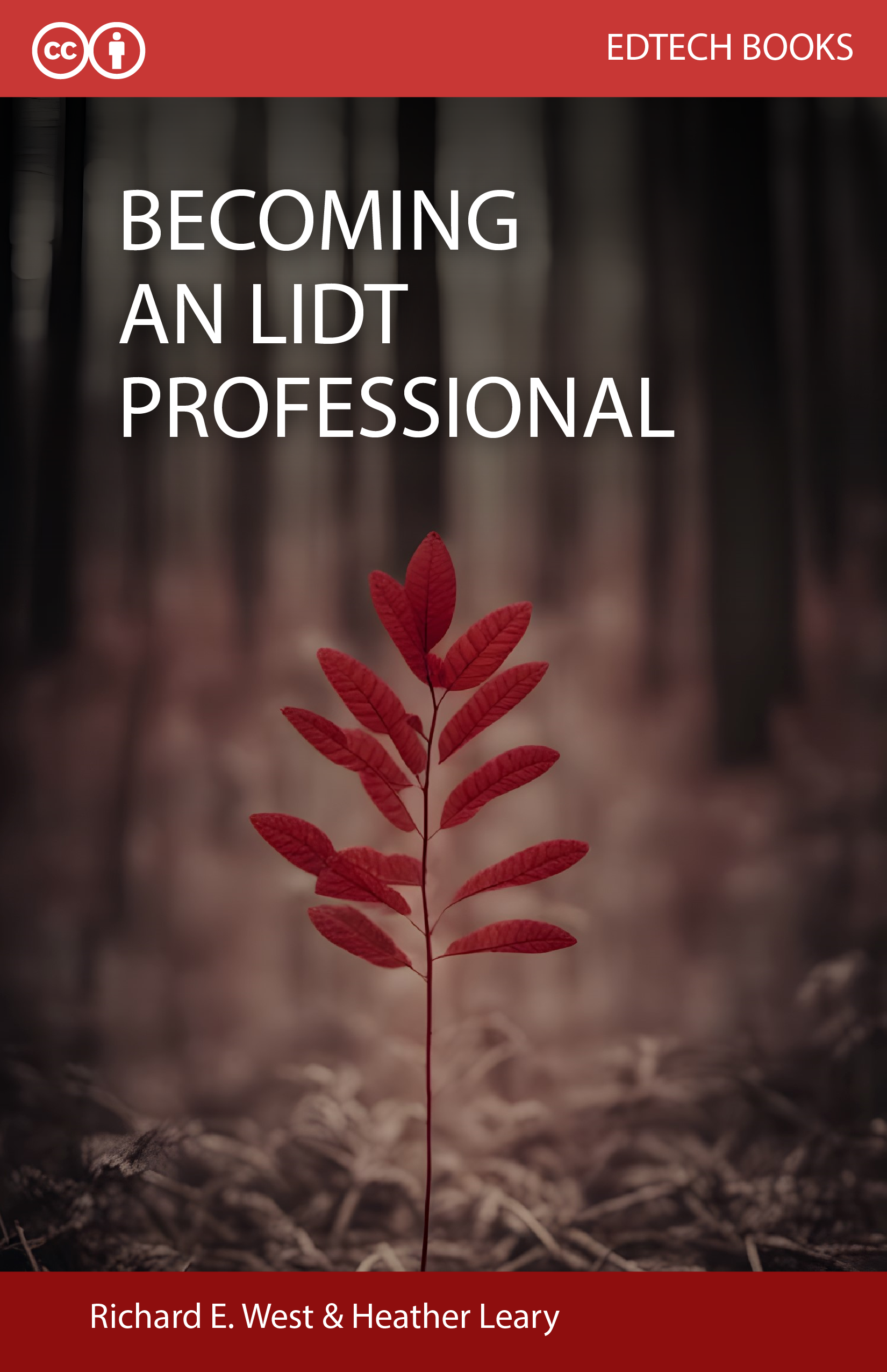 Becoming an LIDT Professional