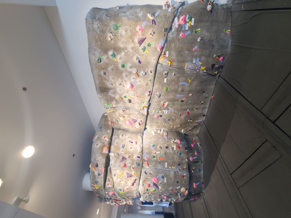 Pared de escalar