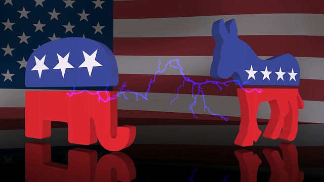 Image of an elephant and donkey with stars and stripes pattern