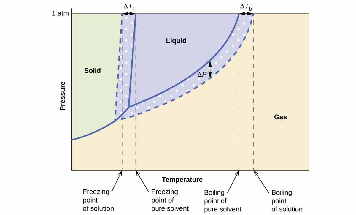 This phase diagram indicates the pressure in atmospheres of water and a solution at various temperatures. The graph shows the freezing point of water and the freezing point of the solution, with the difference between these two values identified as delta T subscript f. The graph shows the boiling point of water and the boiling point of the solution, with the difference between these two values identified as delta T subscript b. Similarly, the difference in the pressure of water and the solution at the boiling point of water is shown and identified as delta P. This difference in pressure is labeled vapor pressure lowering. The lower level of the vapor pressure curve for the solution as opposed to that of pure water shows vapor pressure lowering in the solution. Background colors on the diagram indicate the presence of water and the solution in the solid state to the left, liquid state in the central upper region, and gas to the right.