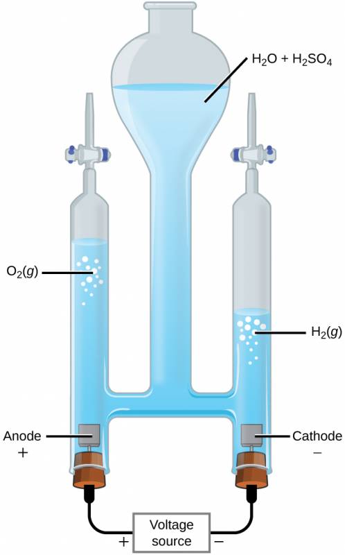 This figure shows an apparatus used for electrolysis. A central chamber with an open top has a vertical column extending below that is nearly full of a clear, colorless liquid, which is labeled “H subscript 2 O plus H subscript 2 S O subscript 4.” A horizontal tube in the apparatus connects the central region to vertical columns to the left and right, each of which has a valve or stopcock at the top and a stoppered bottom. On the left, the stopper at the bottom has a small brown square connected just above it in the liquid. The square is labeled “Anode plus.” A black wire extends from the stopper at the left to a rectangle which is labeled “Voltage source” on to the stopper at the right. The left side of the rectangle is labeled with a plus symbol and the right side is labeled with a negative sign. The stopper on the right also has a brown square connected to it which is in the liquid in the apparatus. This square is labeled “Cathode negative.” The level of the solution on the left arm or tube of the apparatus is significantly higher than the level of the right arm. Bubbles are present near the surface of the liquid on each side of the apparatus, with the bubbles labeled as “O subscript 2 ( g )” on the left and “H subscript 2 ( g )” on the right.