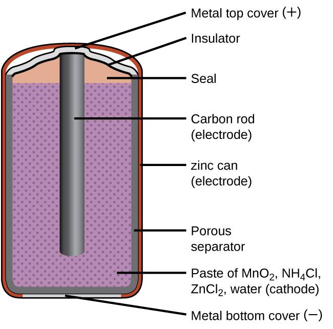 A diagram of a cross section of a dry cell battery is shown. The overall shape of the cell is cylindrical. The lateral surface of the cylinder, indicated as a thin red line, is labeled “zinc can (electrode).” Just beneath this is a slightly thicker dark grey surface that covers the lateral surface, top, and bottom of the battery, which is labeled “Porous separator.” Inside is a purple region with many evenly spaced small darker purple dots, labeled “Paste of M n O subscript 2, N H subscript 4 C l, Z n C l subscript 2, water (cathode).” A dark grey rod, labeled “Carbon rod (electrode),” extends from the top of the battery, leaving a gap of less than one-fifth the height of the battery below the rod to the bottom of the cylinder. A thin grey line segment at the very bottom of the cylinder is labeled “Metal bottom cover (negative).” The very top of the cylinder has a thin grey surface that curves upward at the center over the top of the carbon electrode at the center of the cylinder. This upper surface is labeled “Metal top cover (positive).” A thin dark grey line just below this surface is labeled “Insulator.” Below this, above the purple region, and outside of the carbon electrode at the center is an orange region that is labeled “Seal.”