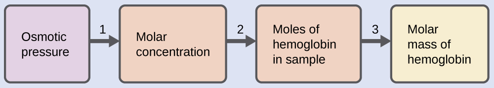 This is a diagram with four boxes oriented horizontally and linked together with arrows numbered 1 to 3 pointing from each box in succession to the next one to the right. The first box is labeled, “Osmotic pressure.” Arrow 1 points from this box to a second box labeled, “Molar concentration.” Arrow 2 points from this box to to a third box labeled, “Moles of hemoglobin in sample.” Arrow labeled 3 points from this box to a fourth box labeled, “Molar mass of hemoglobin.”