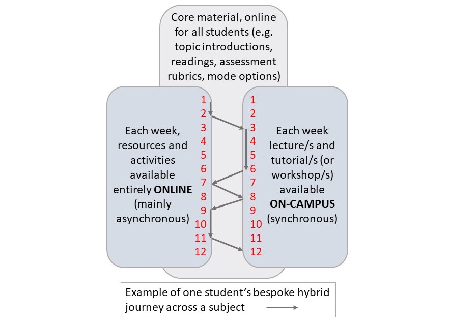 3.12.2_studyflex_pathway.jpg