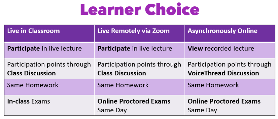 fig3-3-5learnerchoice.png