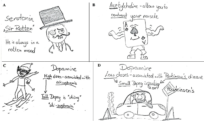  Fig 4 - "Cartoon mnemonics for actions of neurotransmitters - serotonin, acetylcholine, dopamine high doses, and dopamine low doses"