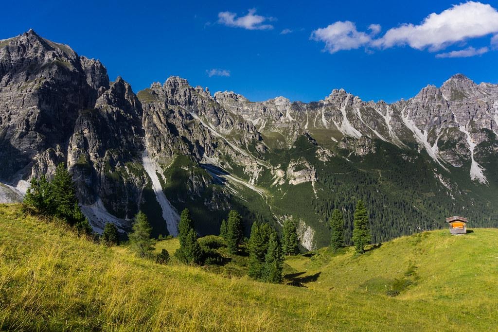 Fig 5 - "Mountain range with a field of evergreen trees and a small shack in the foreground"