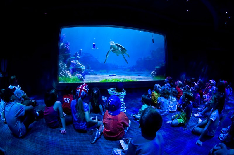 Imagen de niños viendo el programa “Turtle Talk” en Disney World.