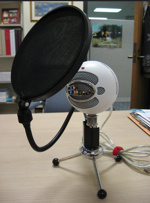 Image of microphone with a pop filter.