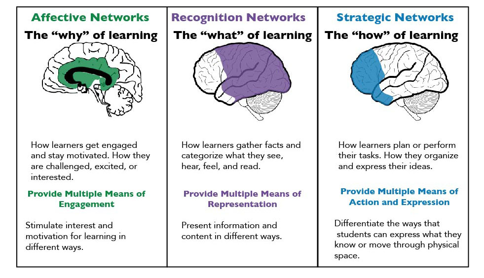 the 3 pillars of UDL