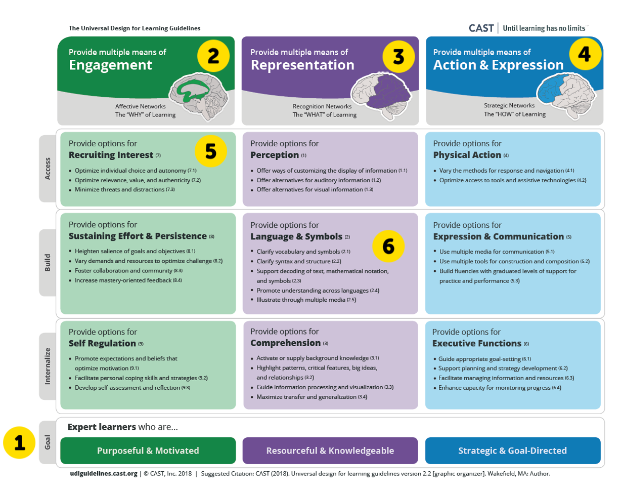 A graphic organizer of UDL guidelines