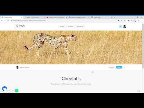 Image preview of a YouTube video