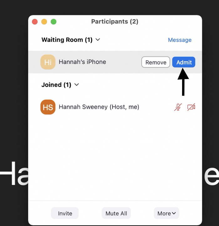 Zoom Waiting Room