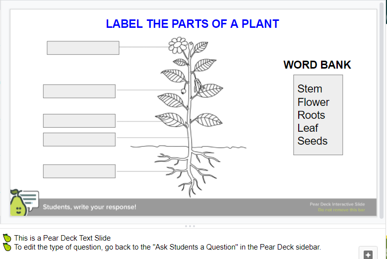 A Pear Deck slide showing teachers how to use a text slide for scientific labeling. 