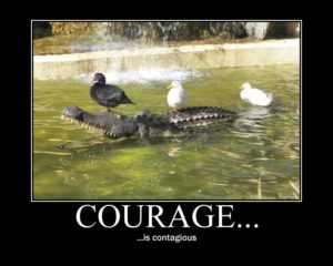 Example of a motivational poster: Ducks on an alligator with text "Courage is contagious"