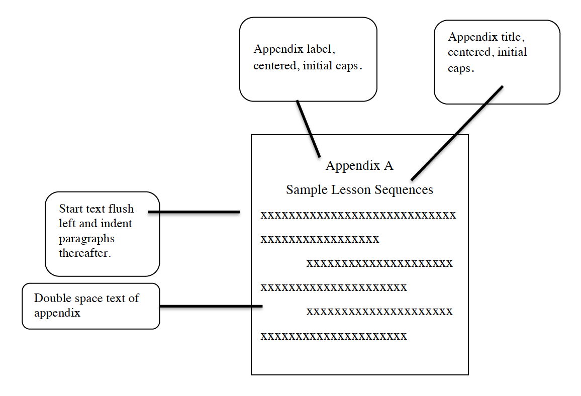 appendix structure