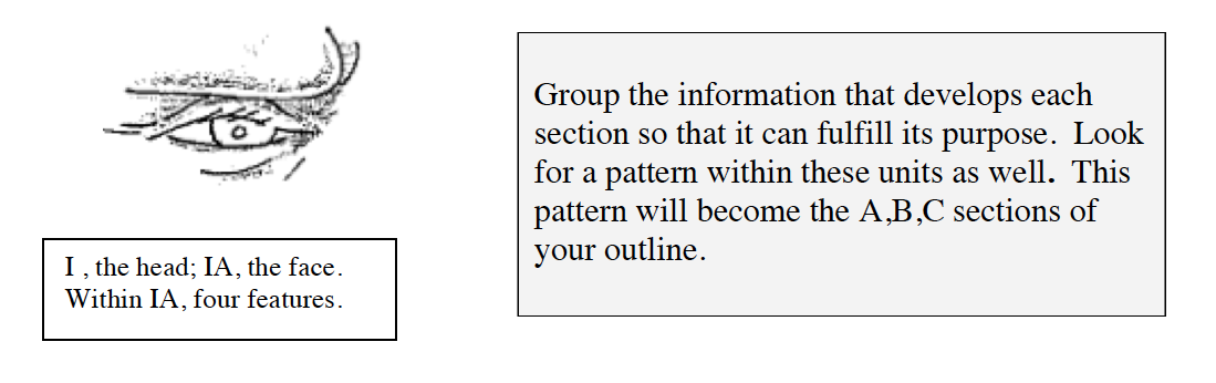 Group the information that develops each section so that it can fulfill its purpose. Look for a pattern within these units as well. This pattern will become the A, B, and C sections of your outline.