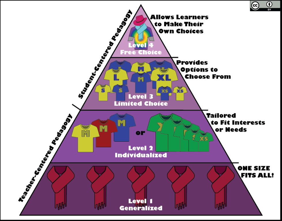 Learner agency taxonomy image