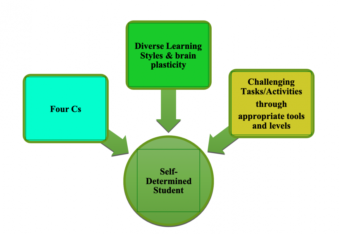 Shows the three areas that make up a self-determined student: four Cs, diverse learning styles and brain plasticity, and challenging tasks/activities.