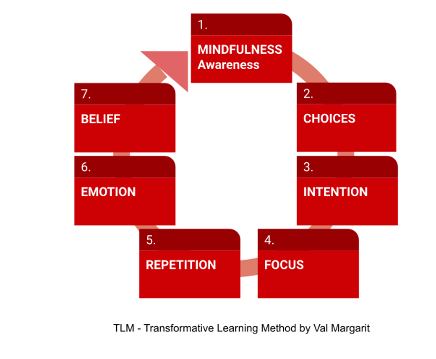 Seven strategies for learners: mindfulness, choices, intention, focus, repetition, emotion, belief.