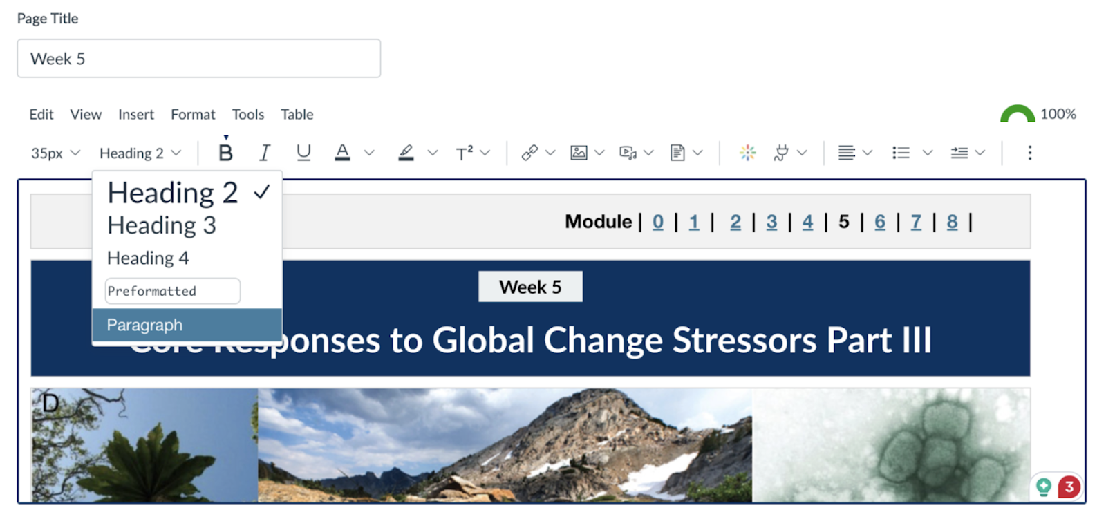 Screenshot of the Canvas editing page with the Heading feature selected in the rich content editor