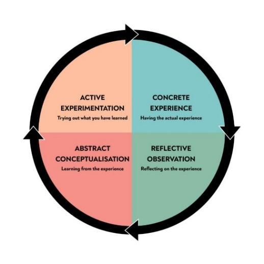 Kolb´s experiential learning theory, presents four stages, active experimentation, concrete experience, abstract conceptualization and relfective observation
