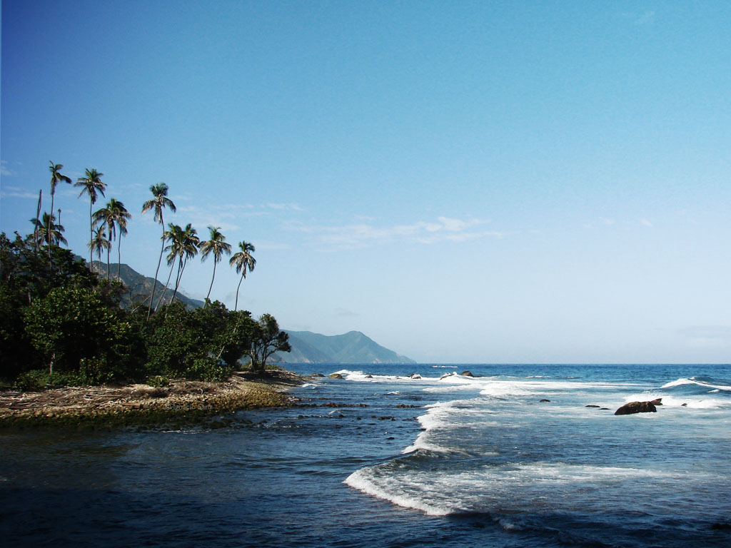 Una playa bonita con olas, palmeras y montañas en el fondo