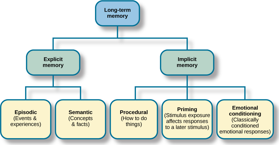 Long-term memory has two components: explicit memory and implicit memory. Explicit memory includes episodic and semantic. Implicit memory includes procedural, priming, and emotional conditioning.